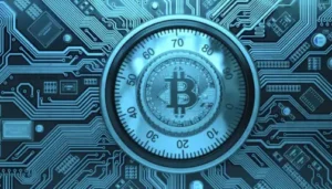 How Blockchain Treasuries Support Growth
